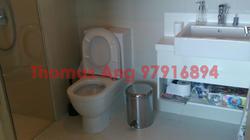Soleil @ Sinaran (D11), Condominium #88391352